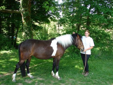 Présentation de ma poneytte